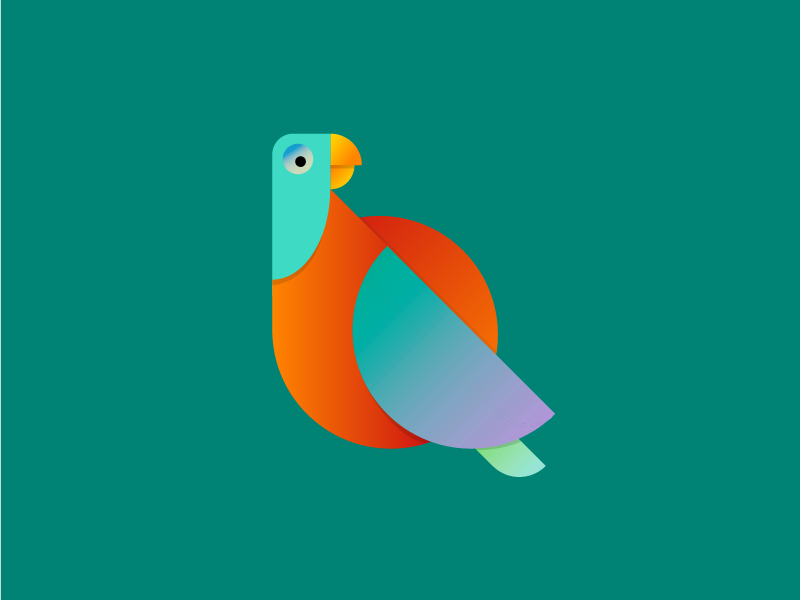 Q dribbble