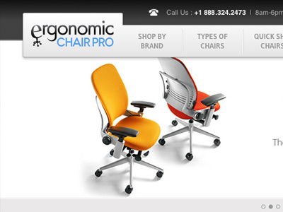 Ergonomic Chair Pro css ecommerce illustrator logo photoshop web design