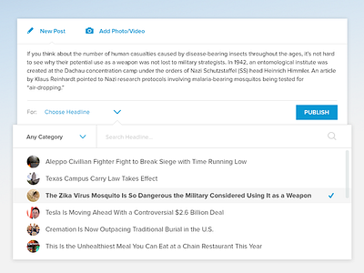 Choose Headline on Publish Form category clean dropdown editor form headline news post publish text ui ux