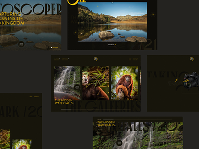 A glimpse at the new Photoscoper branding design portfolio ui web