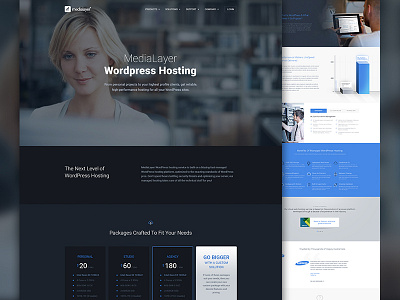 MediaLayer Wordpress Hosting