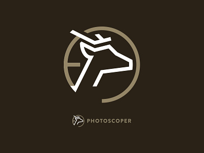 Photoscoper Identity branding identity photography