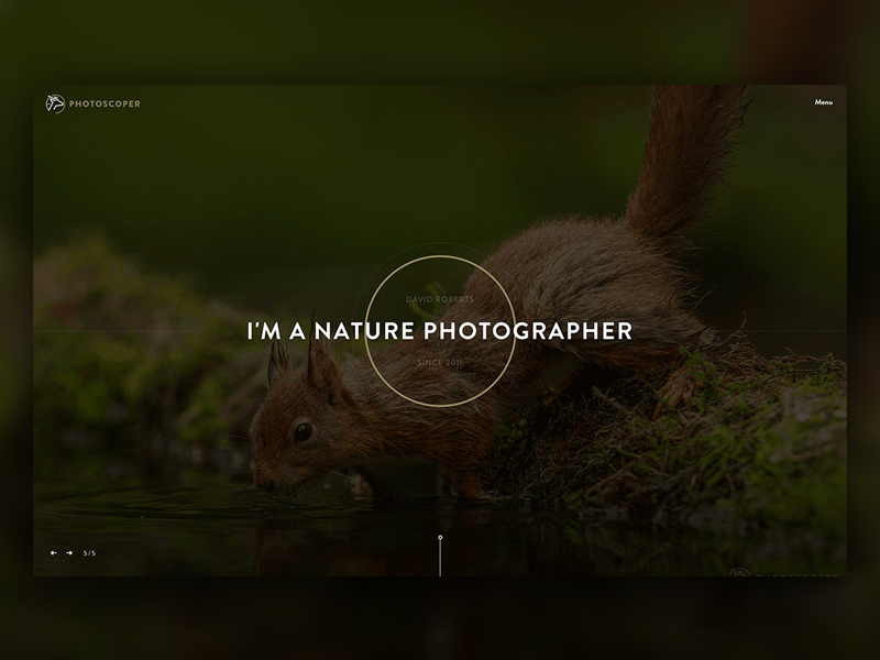 Photoscoper LIVE brand animals wildlife web camera portfolio photography