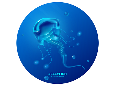 Jellyfish