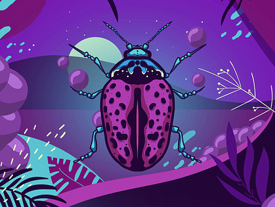 insect 03 colorful colors illustration insect insects