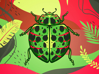 insect 04 colorful colors illustration insect