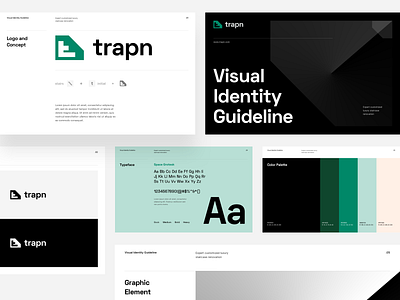 trapn - Visual Identity Guideline brand brand identity branding color palette logo logo design mark symbol typography visual identity