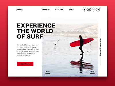 Daily UI Surfer daily design explore interaction summer surfboard surfer ui ux web webapps
