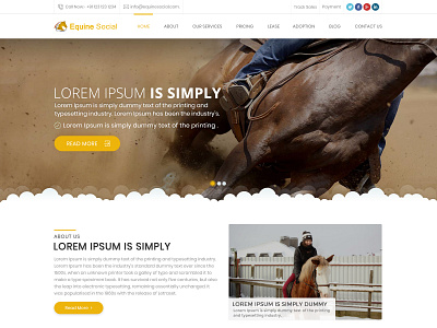 equinesocial app design creative design illustration website