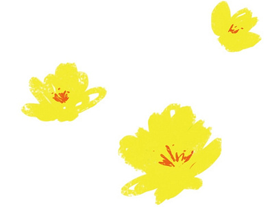 flower pattern calligraphy design digital drawing flower graphic design illustration pattern
