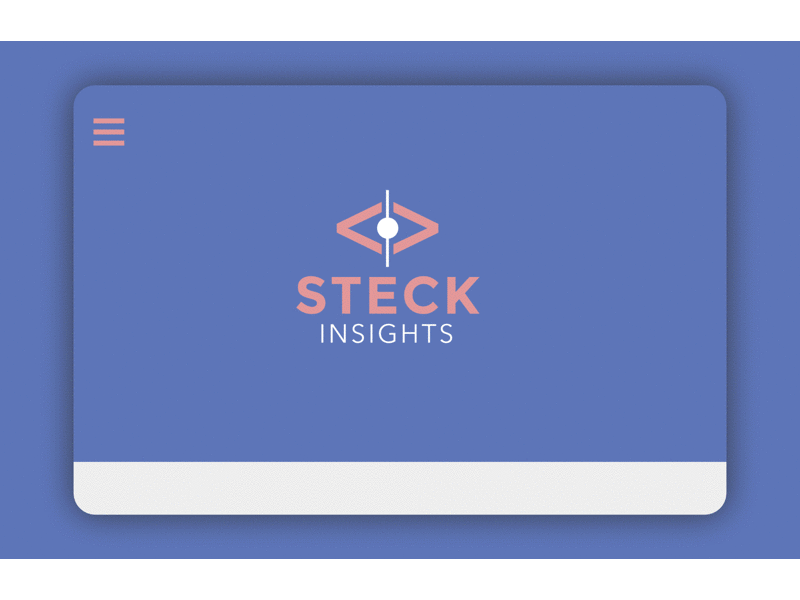 Branding & Landing Concept for Steck Insights branding landing logo page