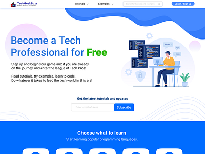 Techgeekbuzz Website