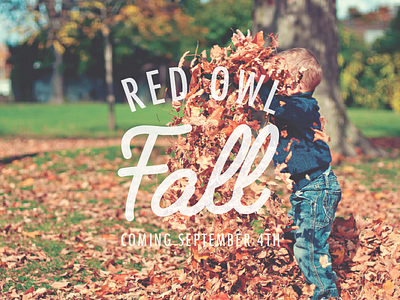 RED OWL FALL LOGO