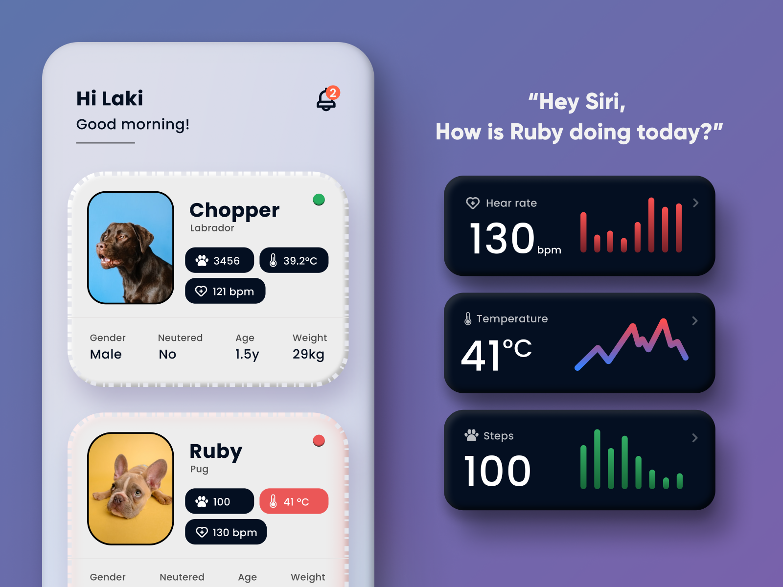 Pet Health Tracker Concept by Yamitha Lakshitha on Dribbble