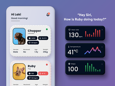 Pet Health Tracker | Concept 3d design health id mobile pet track ui ux