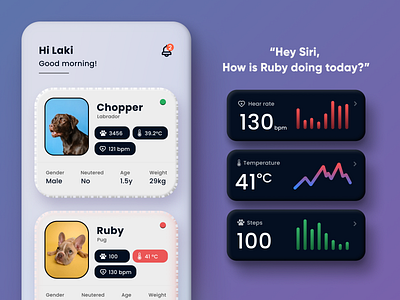 Pet Health Tracker | Concept