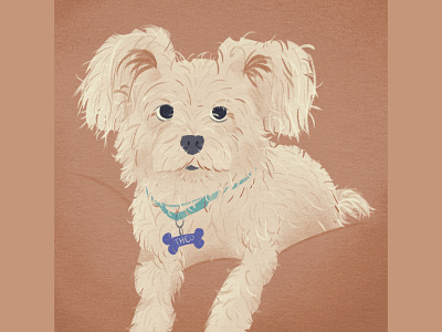 Theo Dog Portrait animal colorpalette digitalart dog dogportrait illustration pet portrait texture