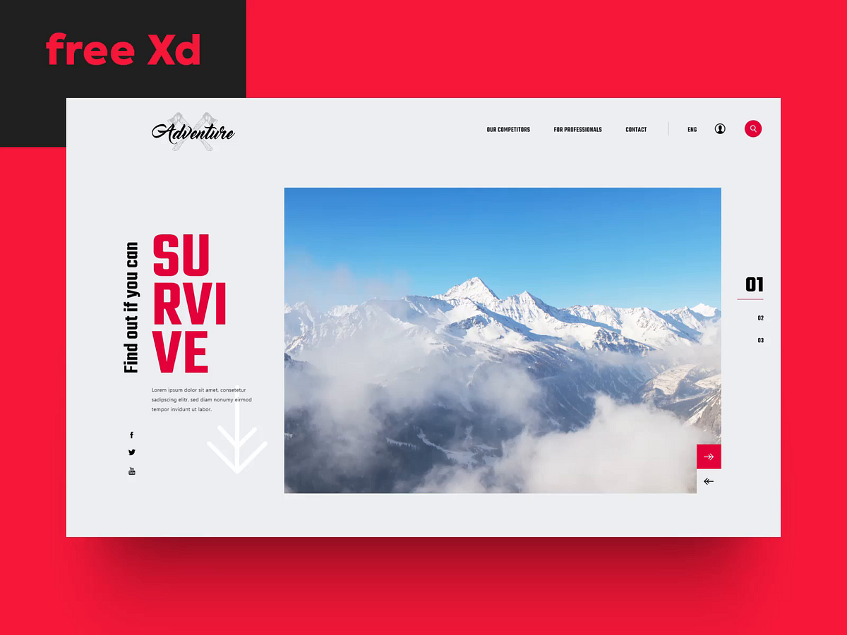 Free Xd Website designs, themes, templates and downloadable graphic