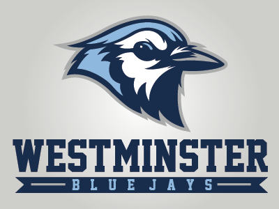 Westminster Blue Jays college sports graphic design logo design mascot logo sports branding sports identity sports logo