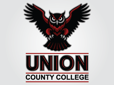 Union Owls college sports graphic design logo design mascot logo sports branding sports identity sports logo