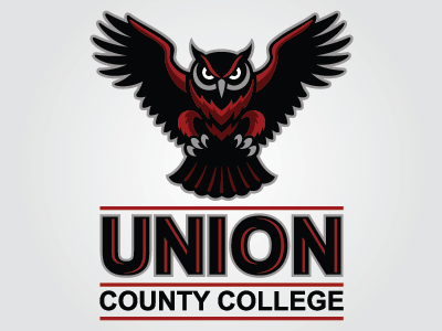 Union Owls