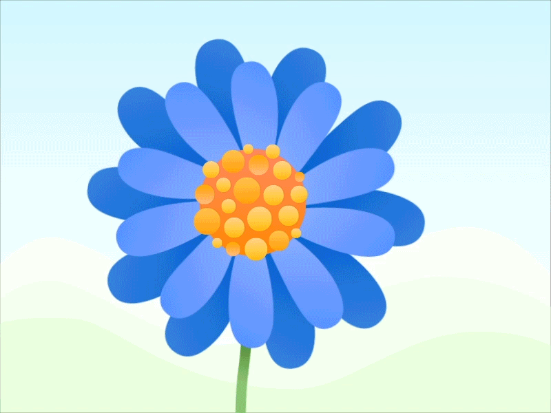 Busy Bee animation bee cute design flower gif illustration jin design jindesign motion graphics spring spring flower ui ux vector