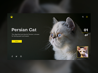 4 Paws animal cat concept design minimal product ui web website