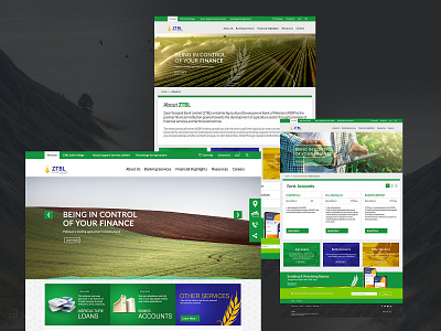 ZTBL WebSite branding design interface landingpage redesign ui uidesign uiuxdesign website