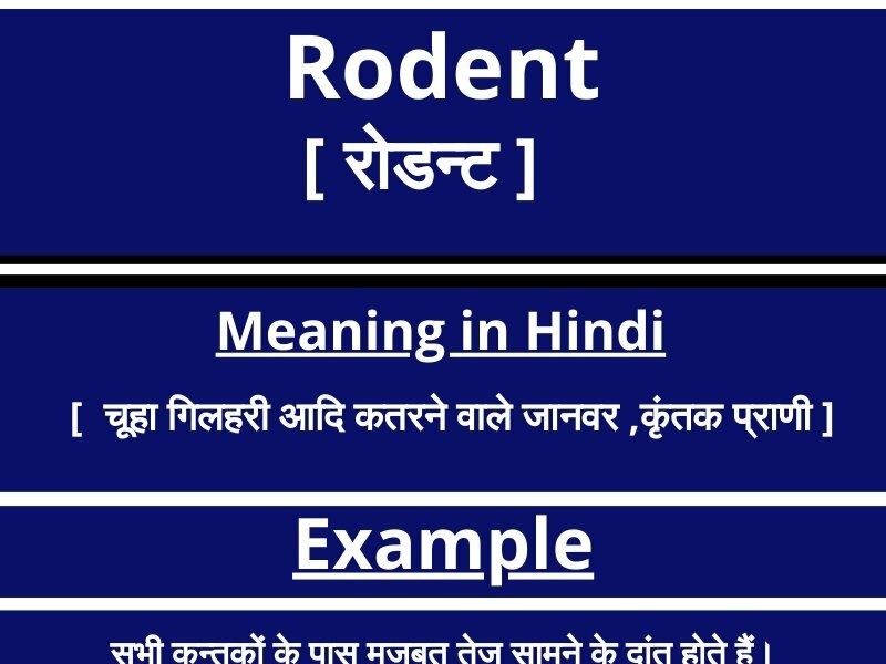 Rodent meaning in Hindi with sentences by speakenglishwithanuradha on