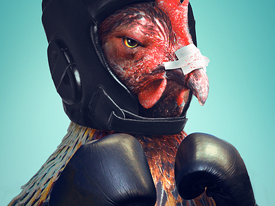 Chicken fighter animals boxing chicken fight manipulation mma photomanipulation photoshop