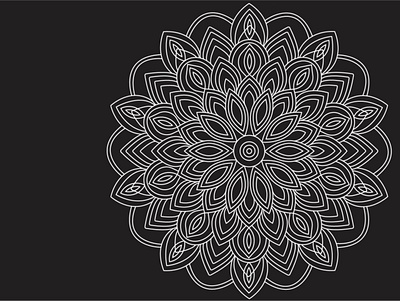 Mandala design graphic design illustration