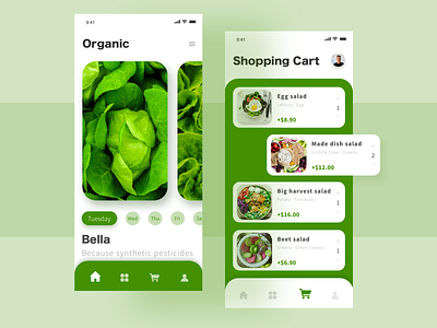 A Healthy Life app design green icon page ui ux