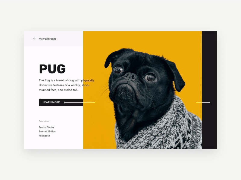 Concept UI: Dog Breed Catalog (Animated)