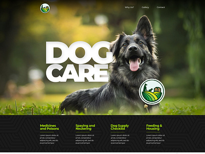 Dog Care Website UI branding dog care graphic design landing page ui web ui website