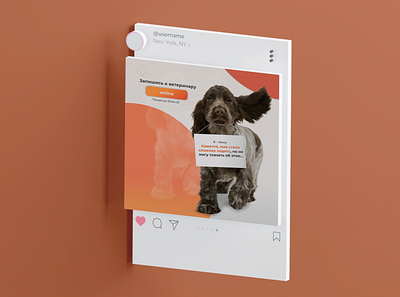 Pet Instagram Design animal branding design dog graphic design illustration instagram logo stories typography