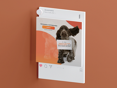 Pet Instagram Design