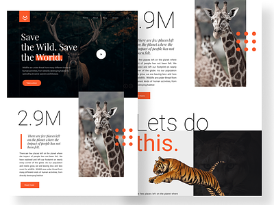 Landing Page. Daily UI #003 design figma landing page orange typography ui concept ui. ux web website concept wild animal wildlife