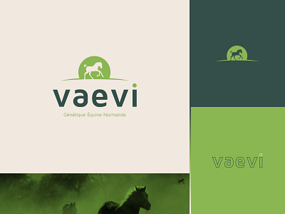 Vaevi — Branding branding design graphisme green horse icon illustration letter logo type typography vector work