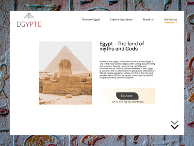 Egypte - trave guide site app design illustration logo ui vector