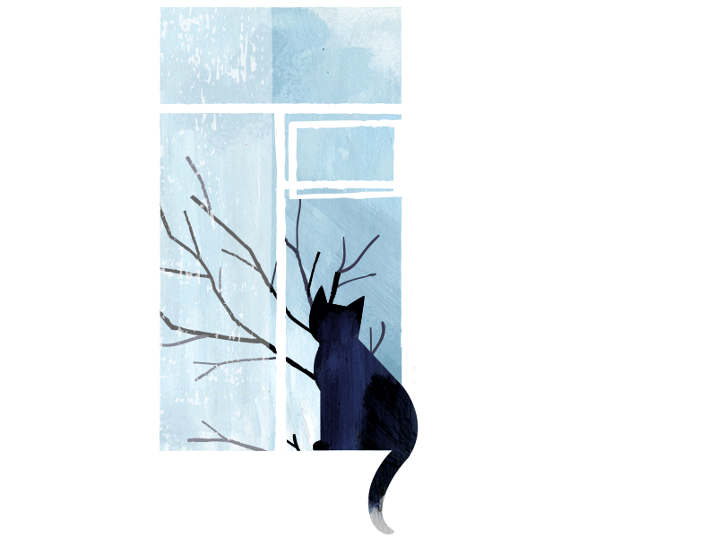 Waiting animation cat illustration melancholy spring texture wind window
