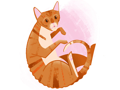 Fur friend animal cat cornish rex friend illustration pet pink red red cat