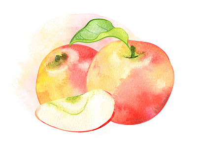 Watercolor apples apple food fruit illustration summer watercolor