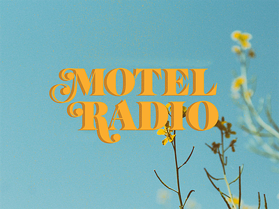 Motel Radio type study ball terminal cicadas field flowers heat marigold summer summertime type type study typography yellow