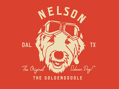 Nelson The Goldendoodle dallas dog goldendoodle labradoodle local legend motorcycle nelson sidecar
