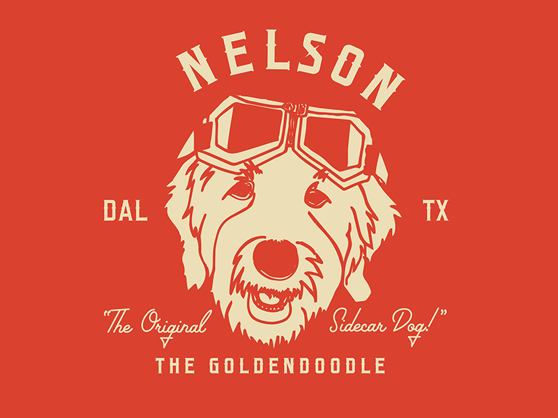 Nelson The Goldendoodle nelson local legend dallas motorcycle dog sidecar labradoodle goldendoodle