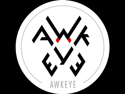 Awkeye Agency Logo hawk logo logotype