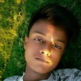 Mehedi Hasan Shojib