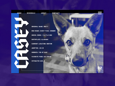 Casey Pawl Homepage adoption animal branding cbcoombs design dog homepage pet rescue ui uidesign ux uxdesign web webdesign website