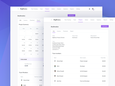 Project Dribbble Shot aceinvoice app bigbinary design ui