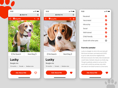 Daily UI challenge. Day 6 adopt adoption animals daily 100 challenge daily ui dailyui dailyui006 design interface ui web website